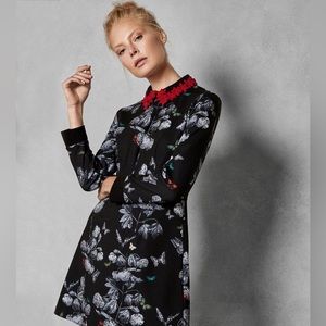 Ted Baker Narrnia Collar Dress l NEW